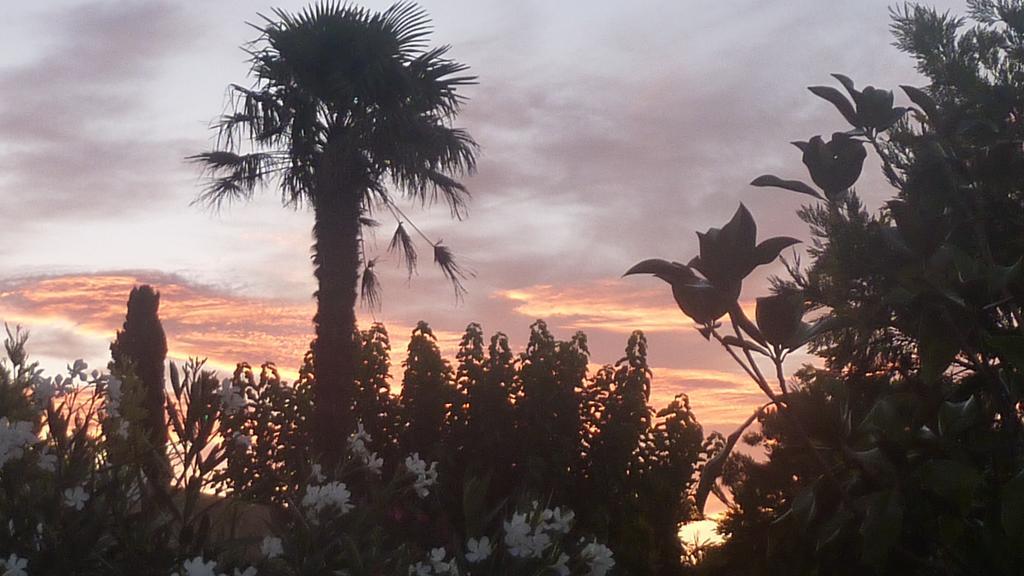 Longo Mai Otel Arles Dış mekan fotoğraf